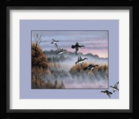 Ducks In Flight 2 Fine Art Print