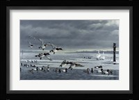 Choptank Gathering Fine Art Print
