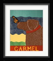 Carmel Butterfly Choc Fine Art Print
