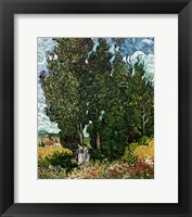 The Cypresses Fine Art Print