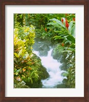 Waterfall, Tabacon, Costa Rica Fine Art Print
