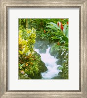 Waterfall, Tabacon, Costa Rica Fine Art Print