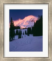 Mt Rainier National Park, Washington State Fine Art Print