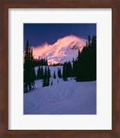 Mt Rainier National Park, Washington State Fine Art Print