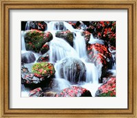 Waterfalls, Kyoto, Japan Fine Art Print