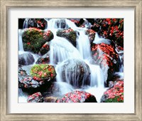 Waterfalls, Kyoto, Japan Fine Art Print