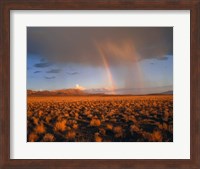 Nevada Desert Rainbow Fine Art Print