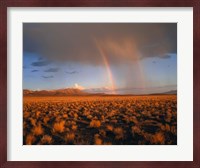 Nevada Desert Rainbow Fine Art Print