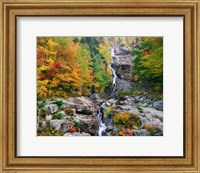 White Mountains National Forest Fine Art Print