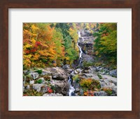 White Mountains National Forest Fine Art Print