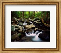 LeConte Creek, Great Smoky Mountains National Park Fine Art Print