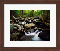 LeConte Creek, Great Smoky Mountains National Park Fine Art Print