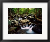 LeConte Creek, Great Smoky Mountains National Park Fine Art Print