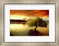 South Island, New Zealand Fine Art Print