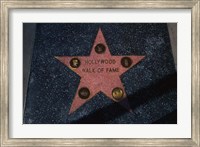 Hollywood Walk of Fame Star, Los Angeles, CA Fine Art Print
