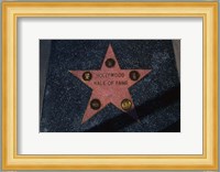 Hollywood Walk of Fame Star, Los Angeles, CA Fine Art Print