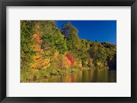 Pillsbury State Forest, Minnesota Fine Art Print