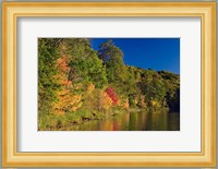 Pillsbury State Forest, Minnesota Fine Art Print