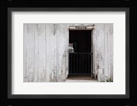 Helen Keller Birthplace And Home, Colbert County, Alabama Fine Art Print