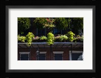 French Quarter, New Orleans, Louisiana Fine Art Print