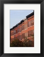 Row Houses in the City, Bolton Hill, Baltimore, Maryland Fine Art Print