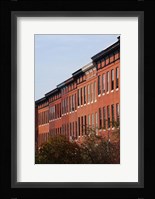 Row Houses in the City, Bolton Hill, Baltimore, Maryland Fine Art Print