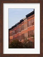 Row Houses in the City, Bolton Hill, Baltimore, Maryland Fine Art Print