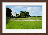 Moydrum Castle, Athlone, Republic of Ireland Fine Art Print