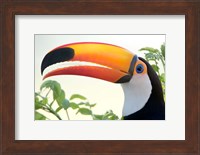 Toco toucan (Ramphastos toco), Pantanal Wetlands, Brazil Fine Art Print