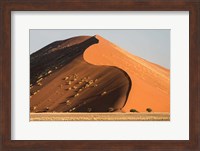 Sand Dune, Namib Desert, Namib-Naukluft National Park Fine Art Print