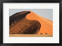 Sand Dune, Namib Desert, Namib-Naukluft National Park Fine Art Print
