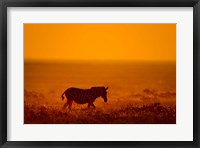 Zebra in a Field, Etosha National Park, Namibia Fine Art Print