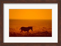 Zebra in a Field, Etosha National Park, Namibia Fine Art Print