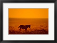 Zebra in a Field, Etosha National Park, Namibia Fine Art Print