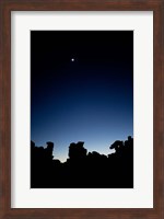 Quiver Tree Forest at Night, Namibia Fine Art Print