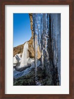 Seljalandsfoss Waterfall in the Winter, Iceland Fine Art Print