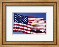 Bald Eagle on Flag Fine Art Print