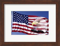 Bald Eagle on Flag Fine Art Print