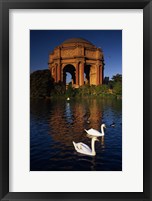 Swans and Palace of Fine Arts Fine Art Print