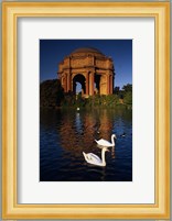 Swans and Palace of Fine Arts Fine Art Print