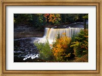 Tahquamenon Falls, Michigan Fine Art Print
