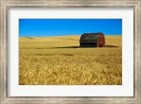 Red barn in wheat field, Palouse region, Washington, USA. Fine Art Print