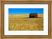 Red barn in wheat field, Palouse region, Washington, USA. Fine Art Print