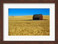 Red barn in wheat field, Palouse region, Washington, USA. Fine Art Print