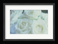 Flowers Roses Fine Art Print