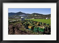 Harvesting Lettuce near Ventas de Zafarraya, Spain Fine Art Print