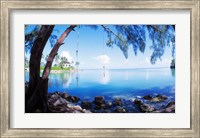 Rope Swing Over Water, Florida Keys Fine Art Print