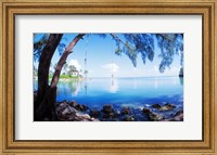 Rope Swing Over Water, Florida Keys Fine Art Print