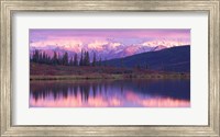 Alaska Denali National Park Fine Art Print