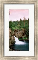 Forest Waterfall, Shasta, California Fine Art Print